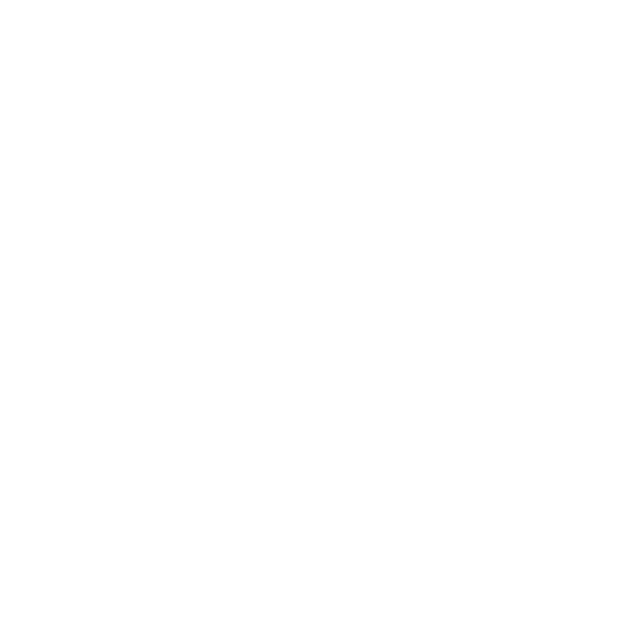 Technical Audit